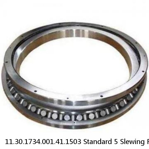 11.30.1734.001.41.1503 Standard 5 Slewing Ring Bearings
