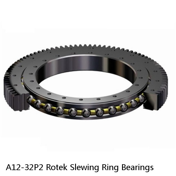 A12-32P2 Rotek Slewing Ring Bearings #1 small image