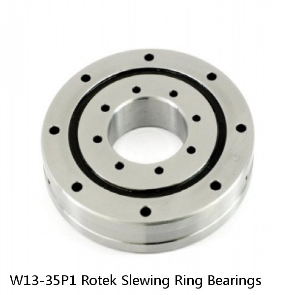 W13-35P1 Rotek Slewing Ring Bearings #1 small image