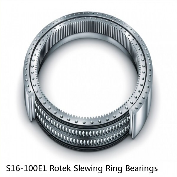 S16-100E1 Rotek Slewing Ring Bearings #1 small image