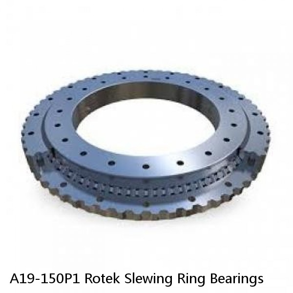 A19-150P1 Rotek Slewing Ring Bearings