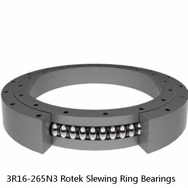 3R16-265N3 Rotek Slewing Ring Bearings