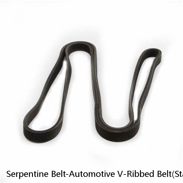 Serpentine Belt-Automotive V-Ribbed Belt(Standard) Roadmax 6K975AP (Fits: Audi)