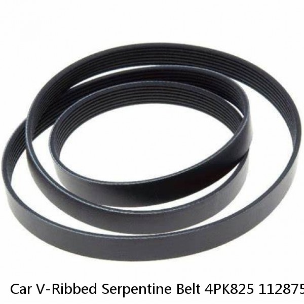 Car V-Ribbed Serpentine Belt 4PK825 11287520177 for BMW 750i 2006-2008