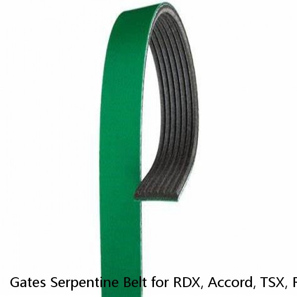 Gates Serpentine Belt for RDX, Accord, TSX, RSX K070677