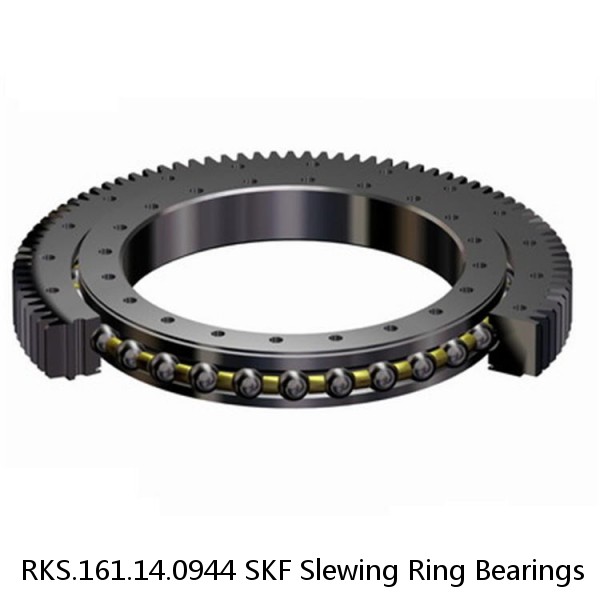 RKS.161.14.0944 SKF Slewing Ring Bearings #1 image