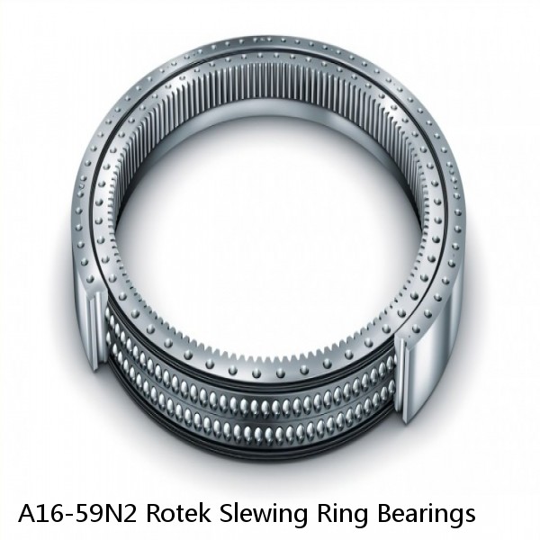 A16-59N2 Rotek Slewing Ring Bearings #1 image