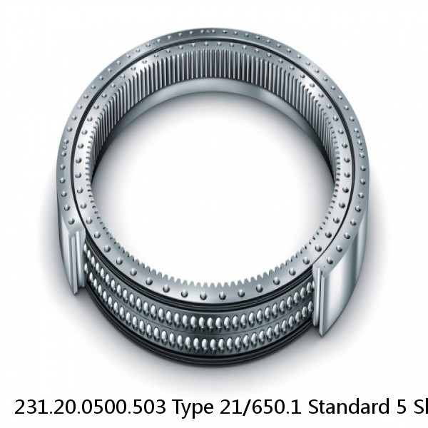231.20.0500.503 Type 21/650.1 Standard 5 Slewing Ring Bearings #1 image