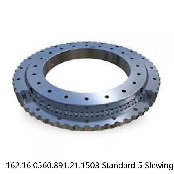 162.16.0560.891.21.1503 Standard 5 Slewing Ring Bearings #1 image