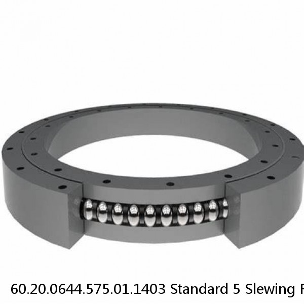 60.20.0644.575.01.1403 Standard 5 Slewing Ring Bearings #1 image