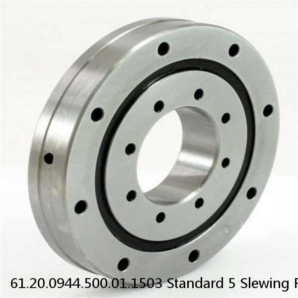 61.20.0944.500.01.1503 Standard 5 Slewing Ring Bearings #1 image