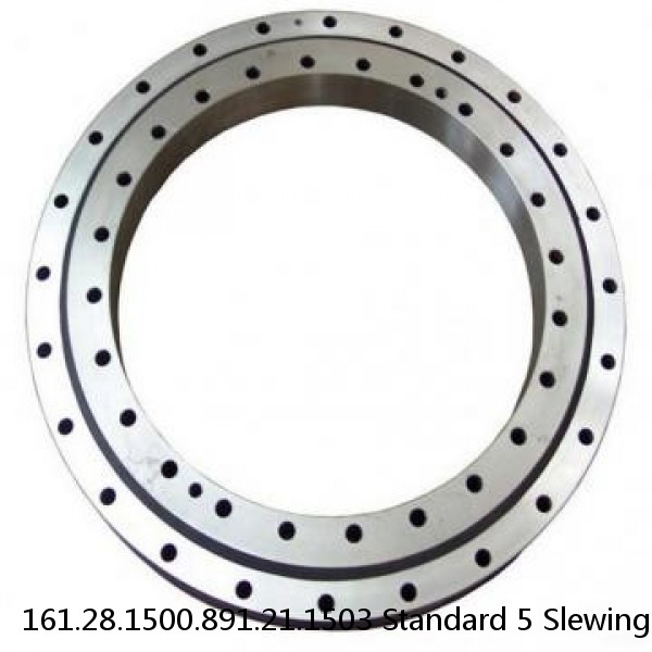 161.28.1500.891.21.1503 Standard 5 Slewing Ring Bearings #1 image