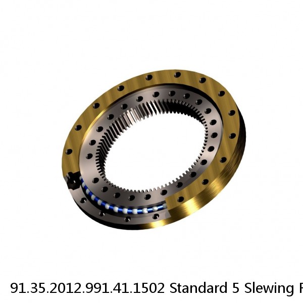 91.35.2012.991.41.1502 Standard 5 Slewing Ring Bearings #1 image