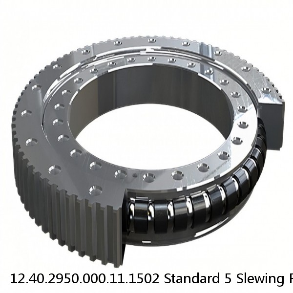 12.40.2950.000.11.1502 Standard 5 Slewing Ring Bearings #1 image