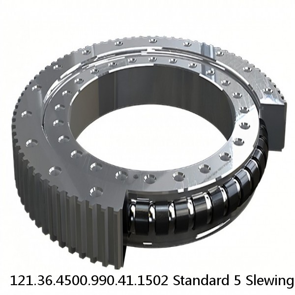 121.36.4500.990.41.1502 Standard 5 Slewing Ring Bearings #1 image