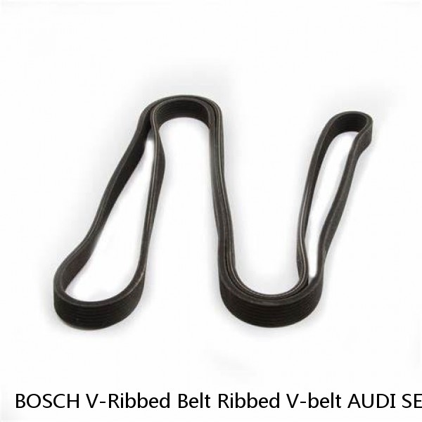 BOSCH V-Ribbed Belt Ribbed V-belt AUDI SEAT Alhambra VW Beetle 1987945731  (Fits: Audi) #1 image